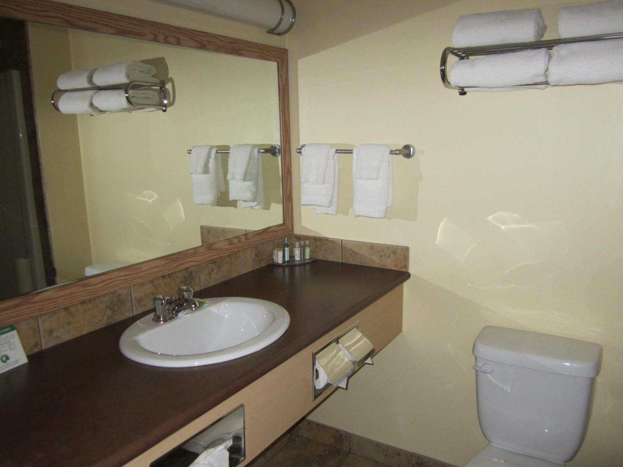 Trend Mountain Hotel & Conference Centre Tumbler Ridge Ruang foto