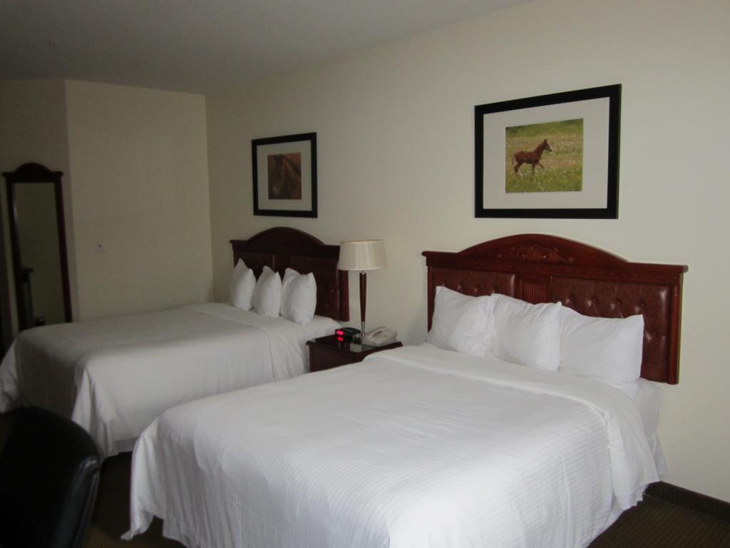 Trend Mountain Hotel & Conference Centre Tumbler Ridge Ruang foto