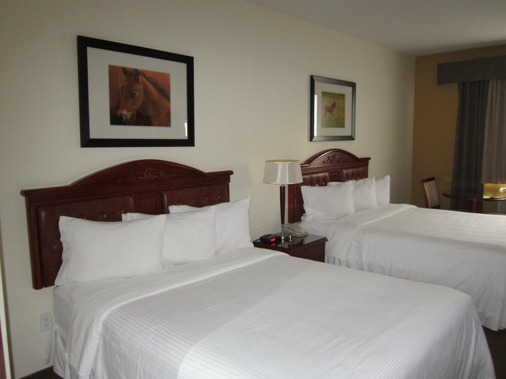 Trend Mountain Hotel & Conference Centre Tumbler Ridge Ruang foto